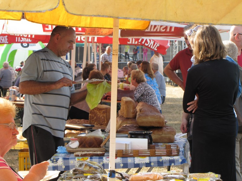 XV Europejskie Targi Chłopskie Krzyżowice 2015 [fotorelacja]