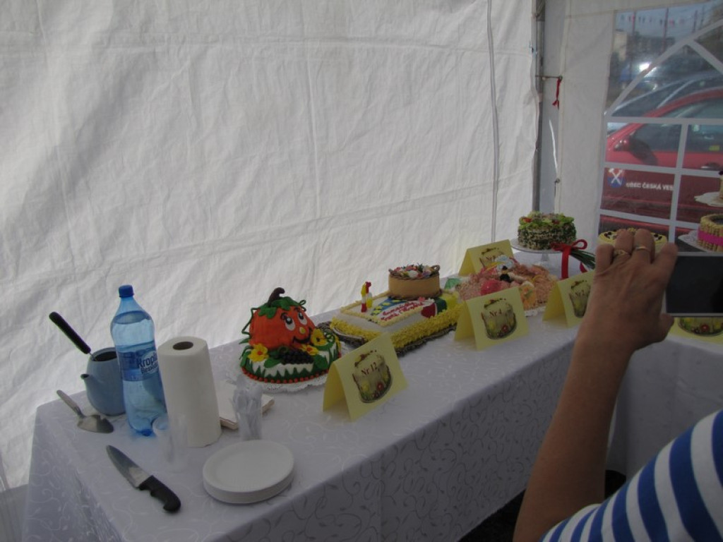 XV Europejskie Targi Chłopskie Krzyżowice 2015 [fotorelacja]