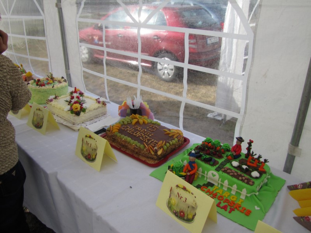 XV Europejskie Targi Chłopskie Krzyżowice 2015 [fotorelacja]