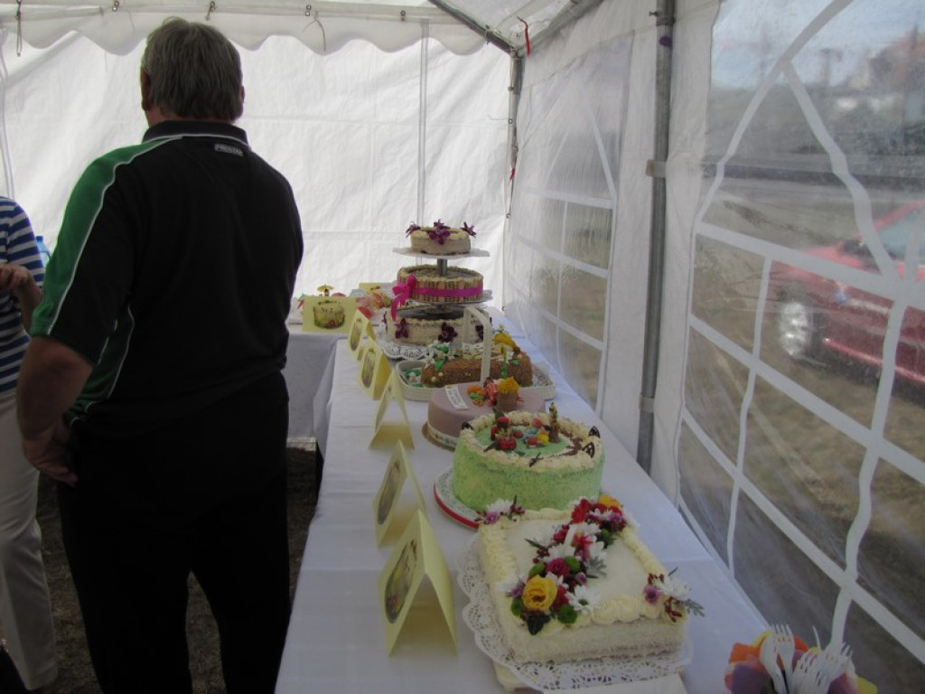 XV Europejskie Targi Chłopskie Krzyżowice 2015 [fotorelacja]