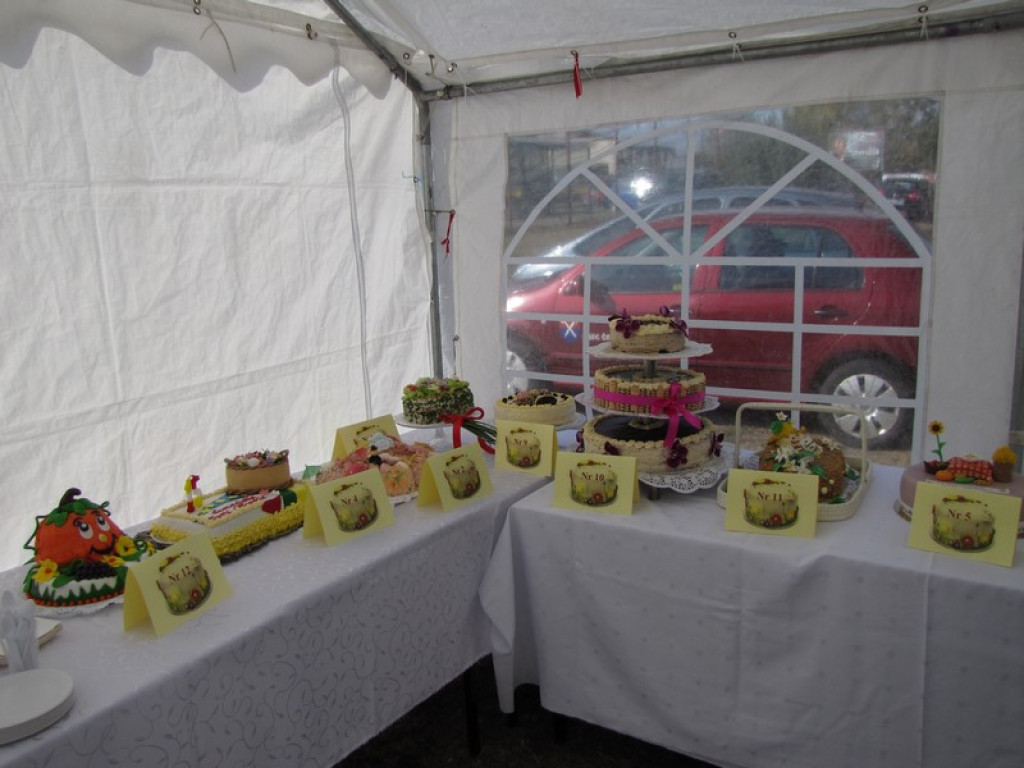 XV Europejskie Targi Chłopskie Krzyżowice 2015 [fotorelacja]