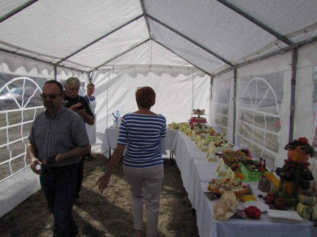 XV Europejskie Targi Chłopskie Krzyżowice 2015 [fotorelacja]