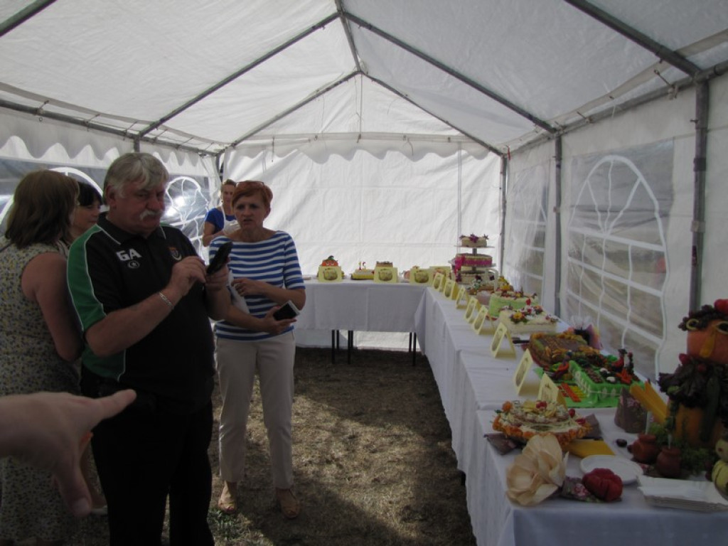 XV Europejskie Targi Chłopskie Krzyżowice 2015 [fotorelacja]