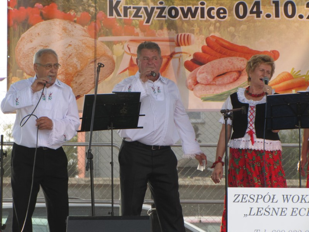 XV Europejskie Targi Chłopskie Krzyżowice 2015 [fotorelacja]