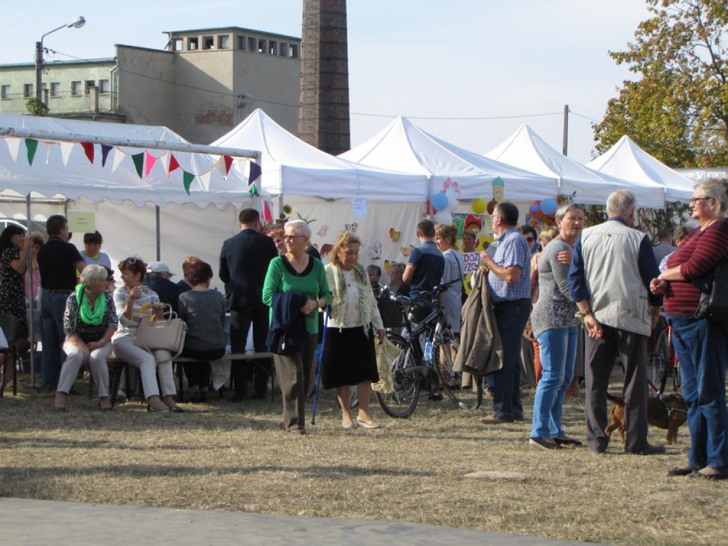 XV Europejskie Targi Chłopskie Krzyżowice 2015 [fotorelacja]