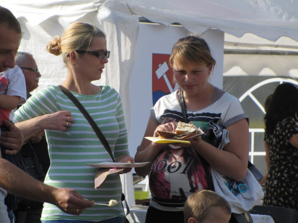 XV Europejskie Targi Chłopskie Krzyżowice 2015 [fotorelacja]