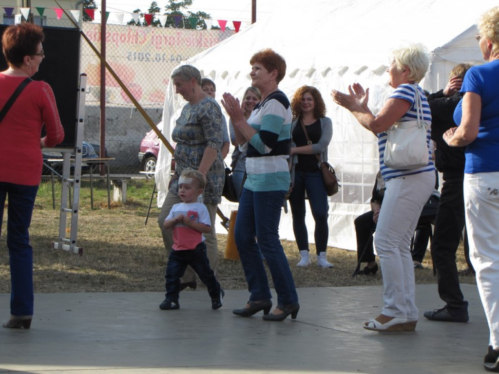 XV Europejskie Targi Chłopskie Krzyżowice 2015 [fotorelacja]