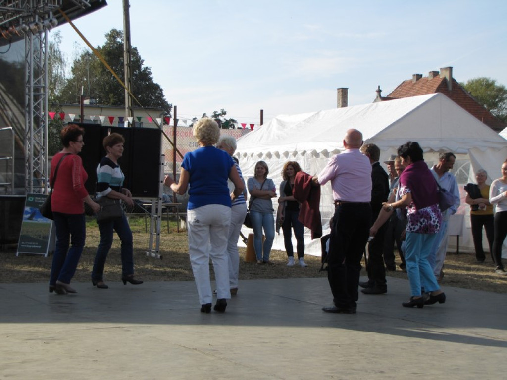 XV Europejskie Targi Chłopskie Krzyżowice 2015 [fotorelacja]