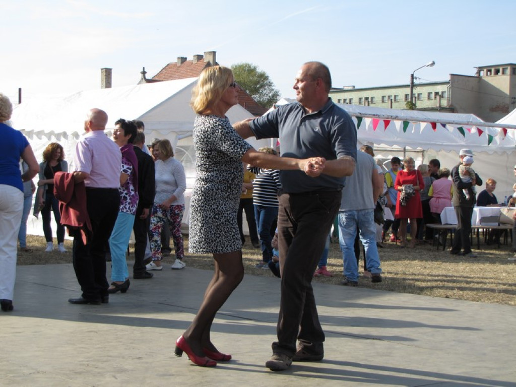 XV Europejskie Targi Chłopskie Krzyżowice 2015 [fotorelacja]