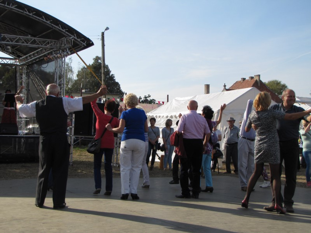 XV Europejskie Targi Chłopskie Krzyżowice 2015 [fotorelacja]