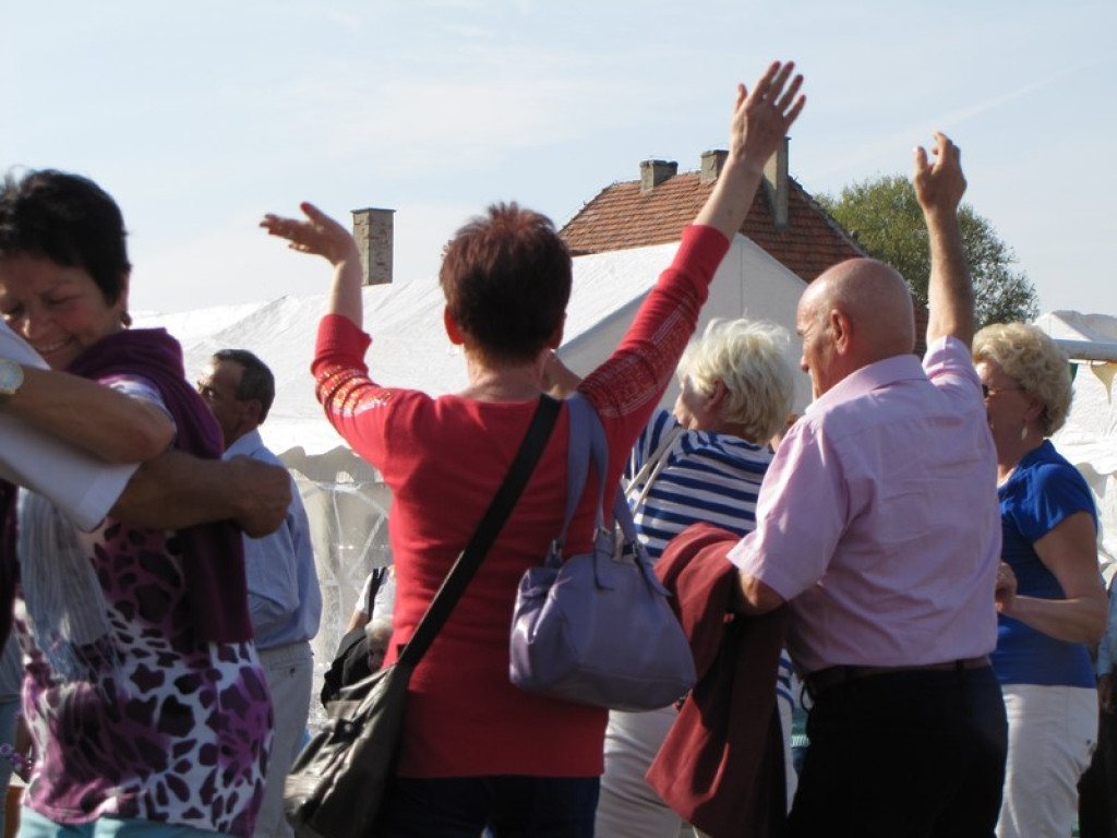 XV Europejskie Targi Chłopskie Krzyżowice 2015 [fotorelacja]