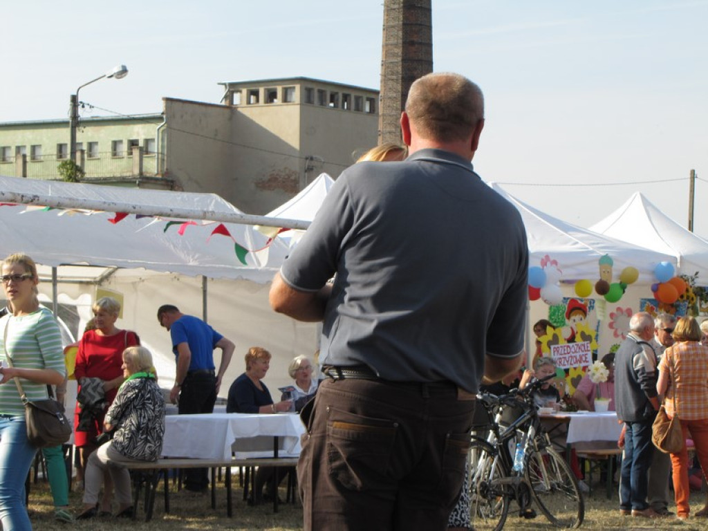 XV Europejskie Targi Chłopskie Krzyżowice 2015 [fotorelacja]