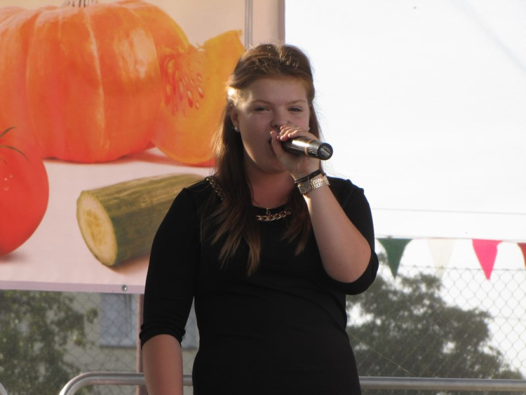 XV Europejskie Targi Chłopskie Krzyżowice 2015 [fotorelacja]