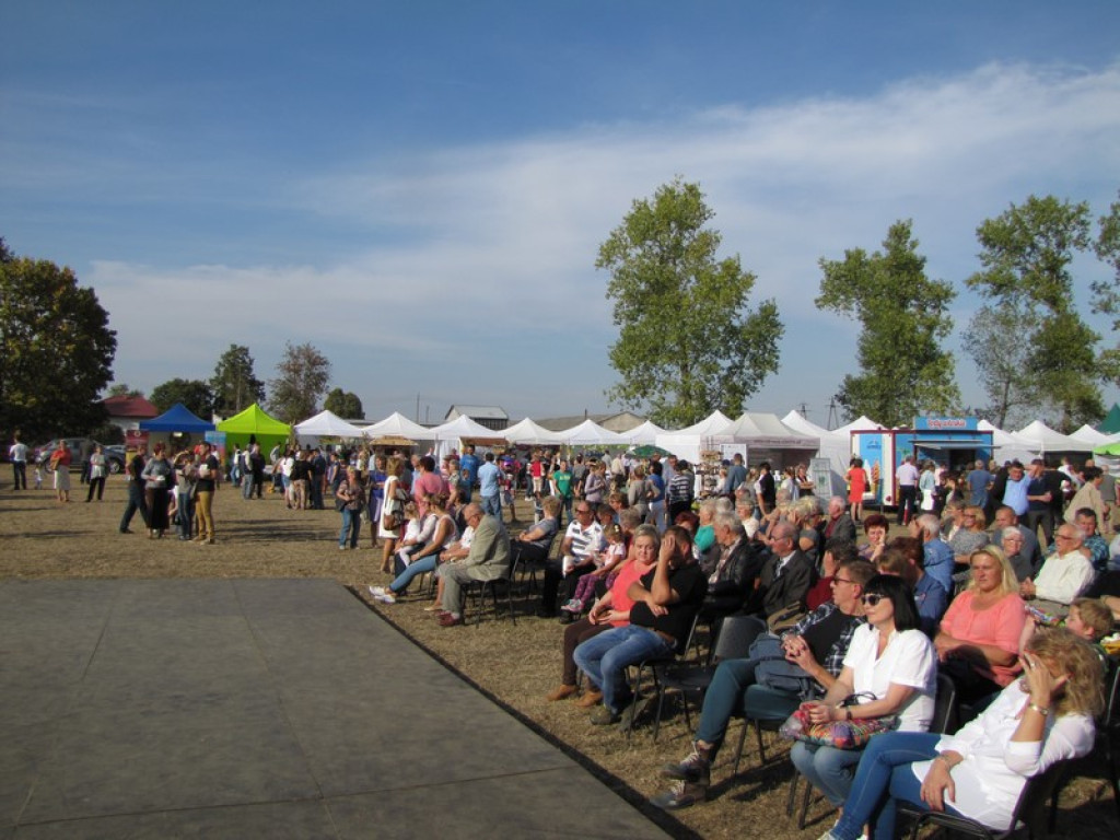 XV Europejskie Targi Chłopskie Krzyżowice 2015 [fotorelacja]