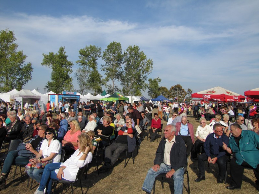 XV Europejskie Targi Chłopskie Krzyżowice 2015 [fotorelacja]
