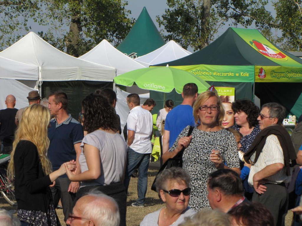 XV Europejskie Targi Chłopskie Krzyżowice 2015 [fotorelacja]