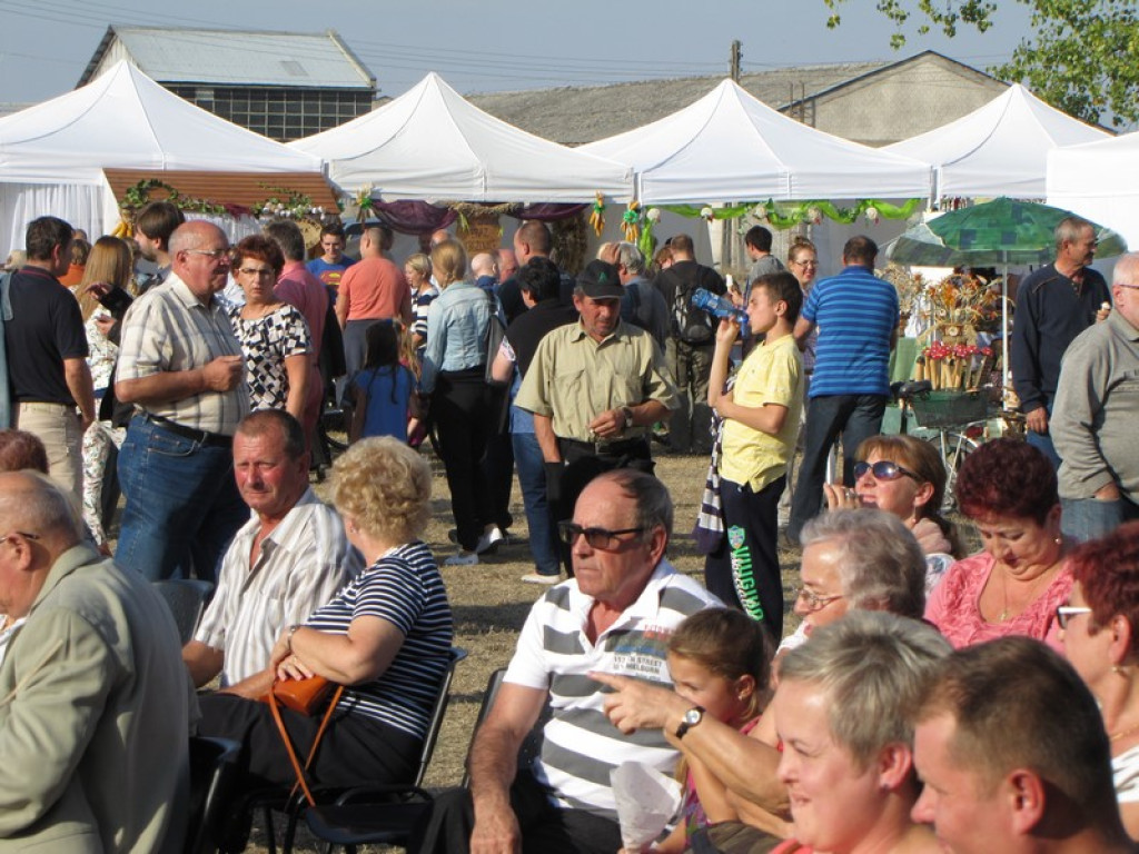 XV Europejskie Targi Chłopskie Krzyżowice 2015 [fotorelacja]