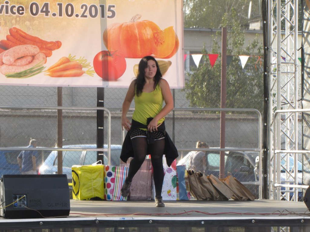 XV Europejskie Targi Chłopskie Krzyżowice 2015 [fotorelacja]