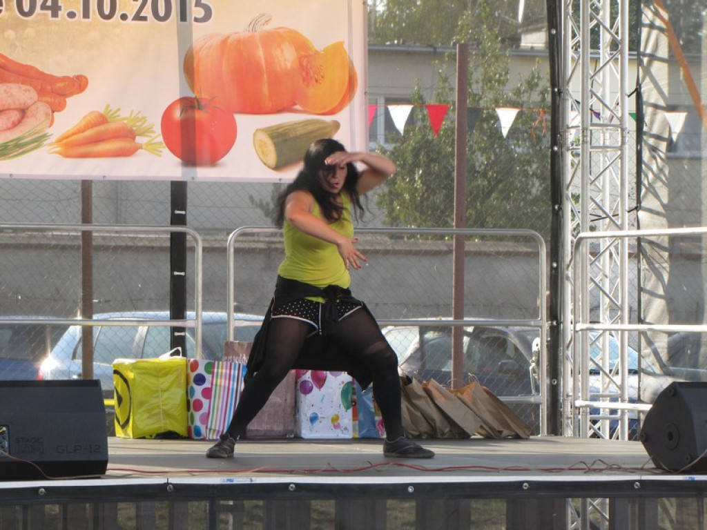 XV Europejskie Targi Chłopskie Krzyżowice 2015 [fotorelacja]