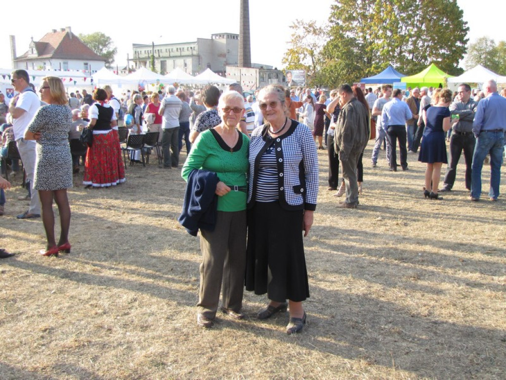 XV Europejskie Targi Chłopskie Krzyżowice 2015 [fotorelacja]