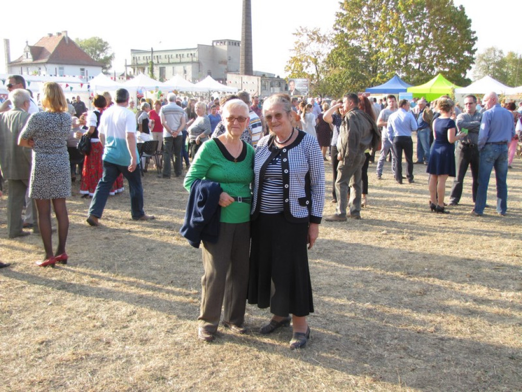 XV Europejskie Targi Chłopskie Krzyżowice 2015 [fotorelacja]