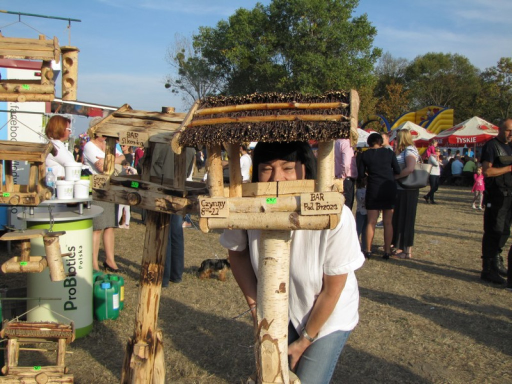 XV Europejskie Targi Chłopskie Krzyżowice 2015 [fotorelacja]