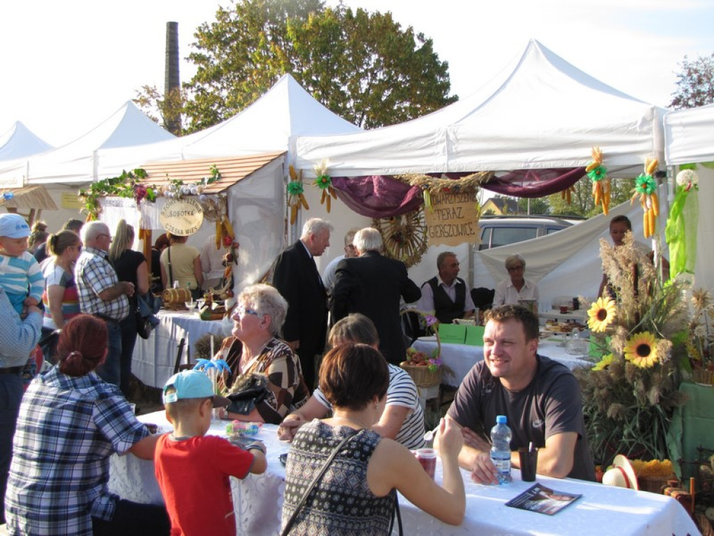 XV Europejskie Targi Chłopskie Krzyżowice 2015 [fotorelacja]