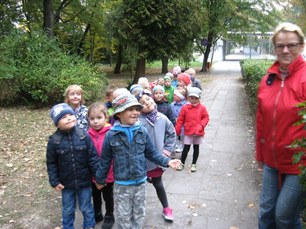 Przedszkolaki z Przedszkola Publicznego nr 3 w Brzegu odkrywają piękno jesieni w parku
