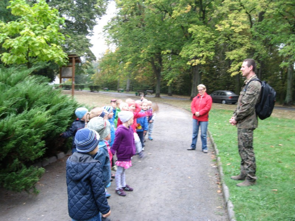Przedszkolaki z Przedszkola Publicznego nr 3 w Brzegu odkrywają piękno jesieni w parku