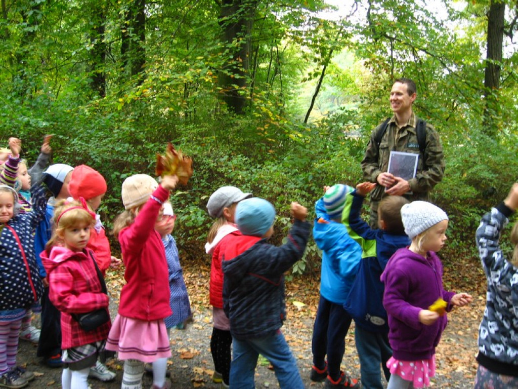Przedszkolaki z Przedszkola Publicznego nr 3 w Brzegu odkrywają piękno jesieni w parku