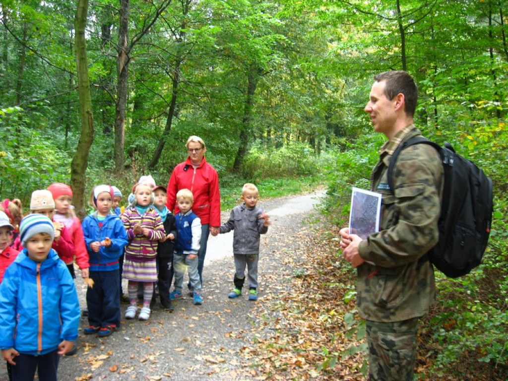 Przedszkolaki z Przedszkola Publicznego nr 3 w Brzegu odkrywają piękno jesieni w parku