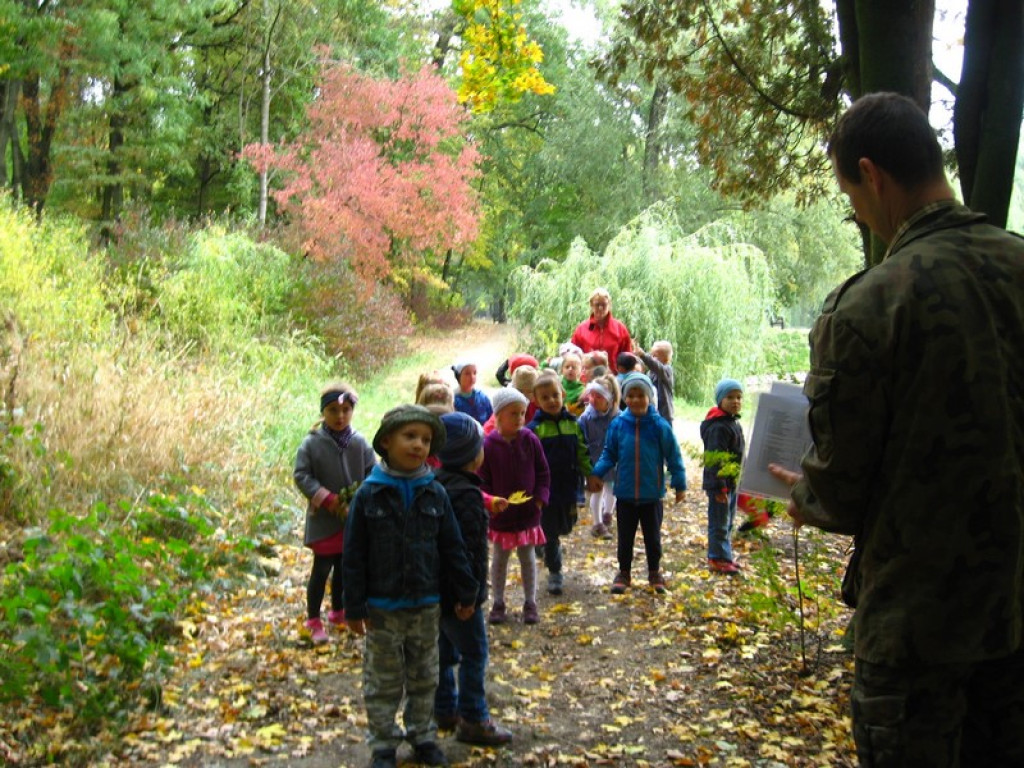 Przedszkolaki z Przedszkola Publicznego nr 3 w Brzegu odkrywają piękno jesieni w parku