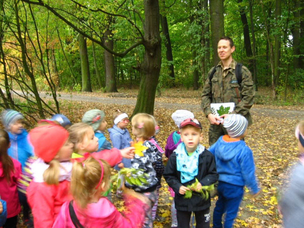 Przedszkolaki z Przedszkola Publicznego nr 3 w Brzegu odkrywają piękno jesieni w parku