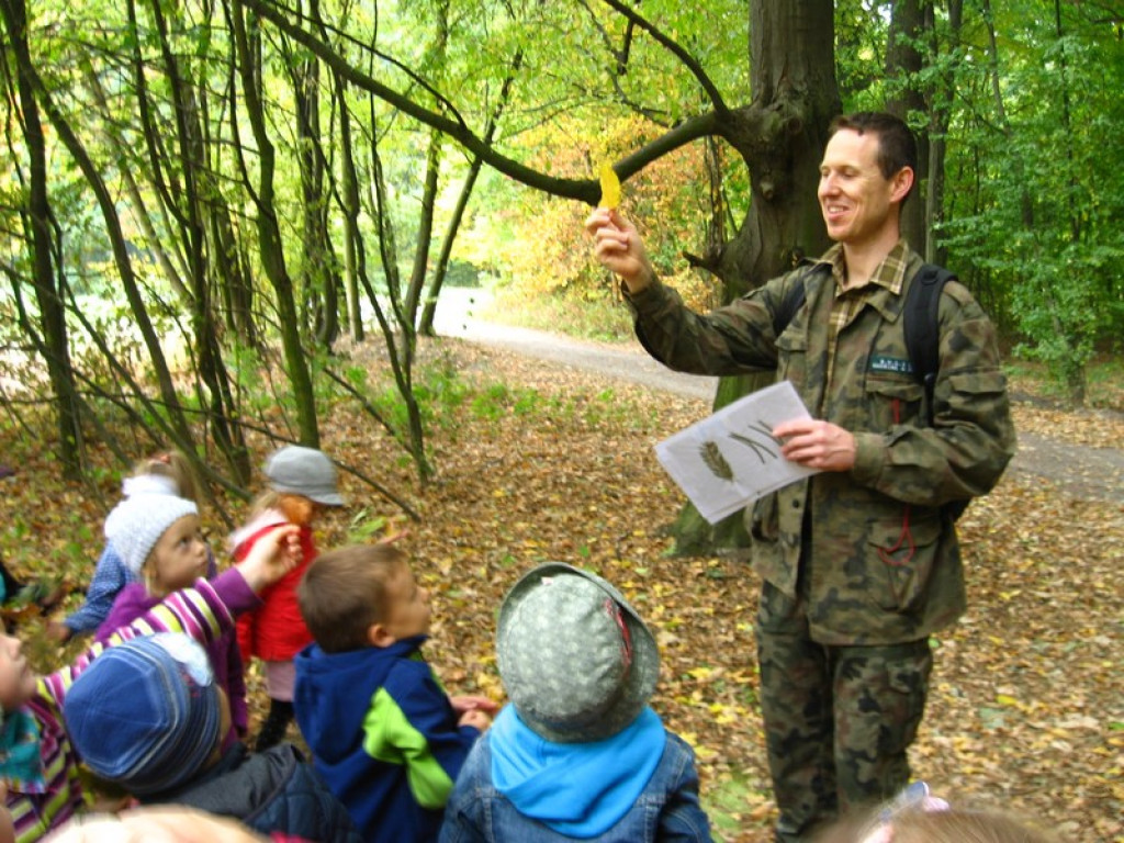Przedszkolaki z Przedszkola Publicznego nr 3 w Brzegu odkrywają piękno jesieni w parku
