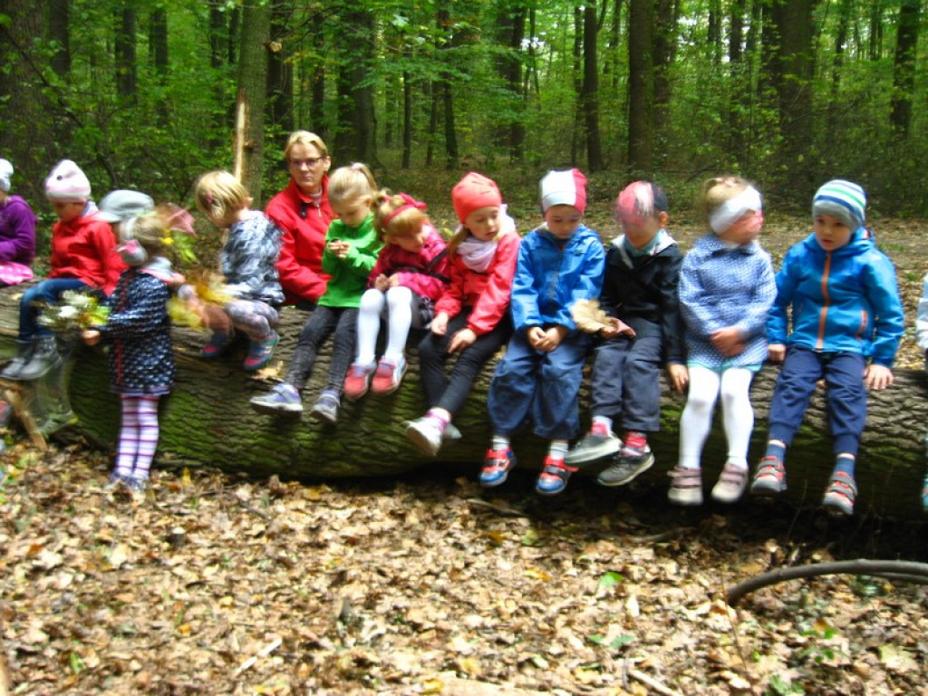 Przedszkolaki z Przedszkola Publicznego nr 3 w Brzegu odkrywają piękno jesieni w parku