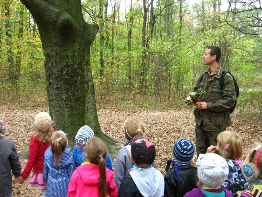 Przedszkolaki z Przedszkola Publicznego nr 3 w Brzegu odkrywają piękno jesieni w parku