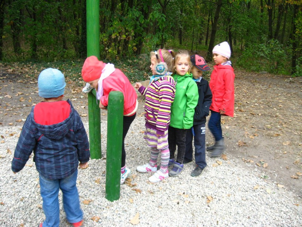 Przedszkolaki z Przedszkola Publicznego nr 3 w Brzegu odkrywają piękno jesieni w parku