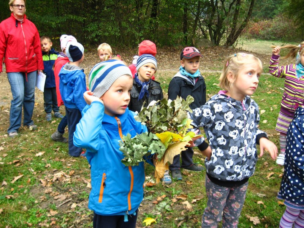 Przedszkolaki z Przedszkola Publicznego nr 3 w Brzegu odkrywają piękno jesieni w parku
