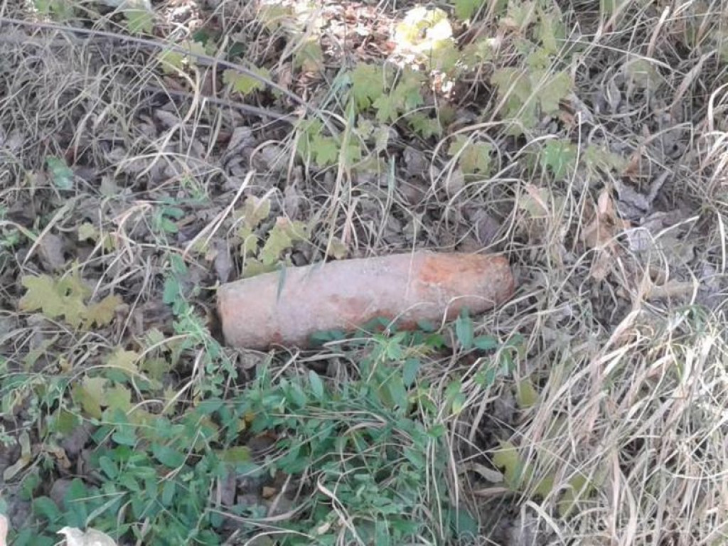 Kronika Straży Miejskiej w Grodkowie 01.07-30.09.2015