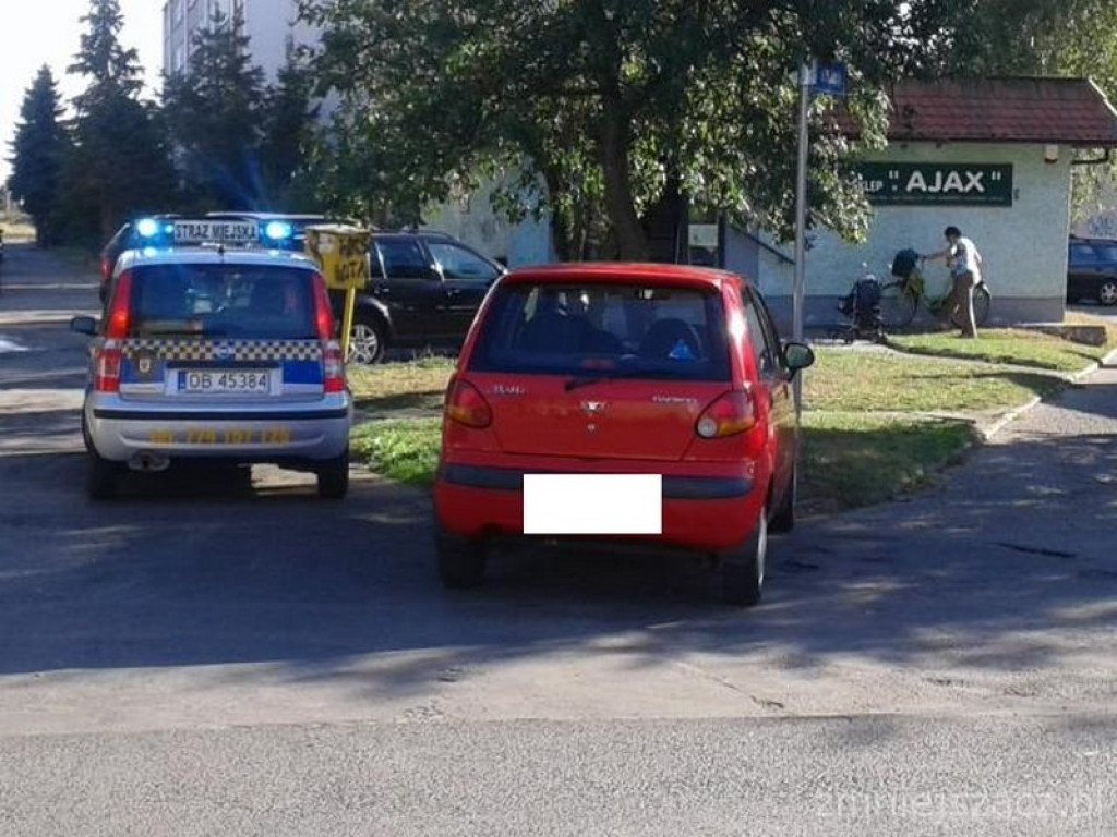 Kronika Straży Miejskiej w Grodkowie 01.07-30.09.2015