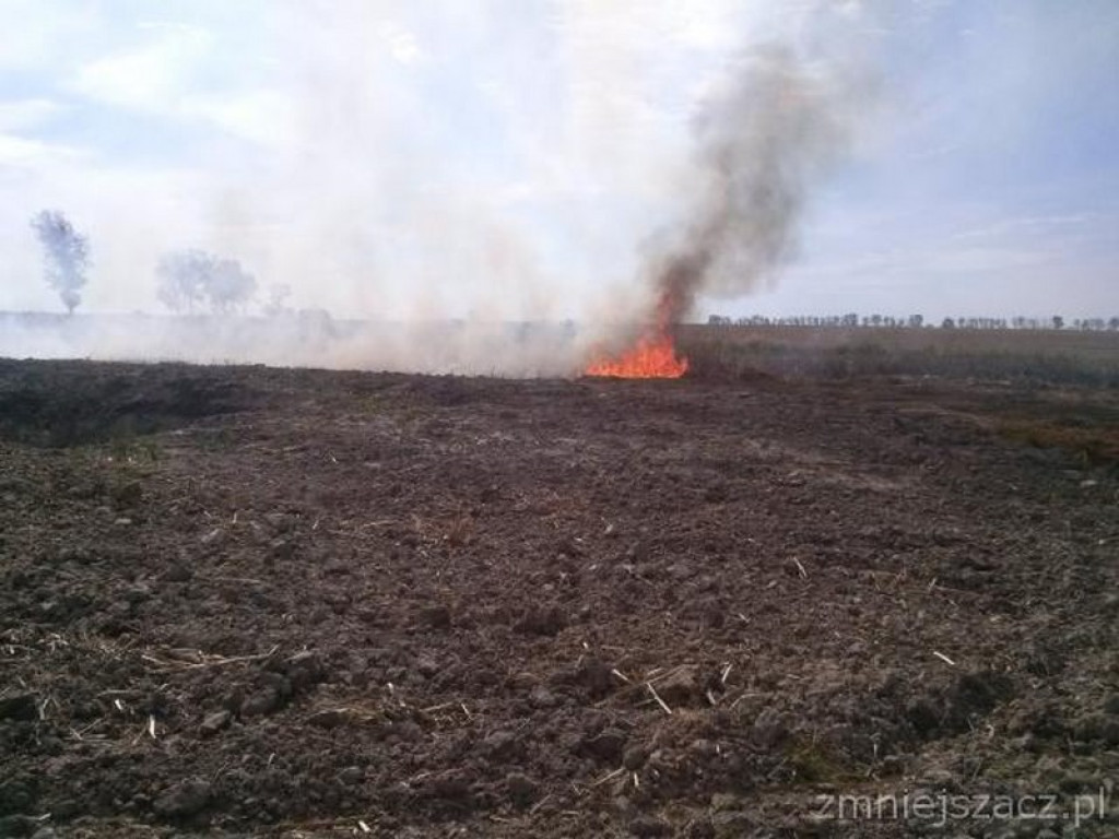 Kronika Straży Miejskiej w Grodkowie 01.07-30.09.2015