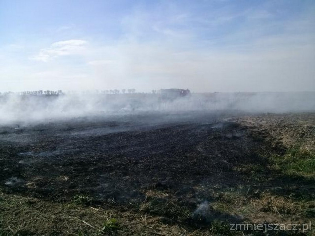 Kronika Straży Miejskiej w Grodkowie 01.07-30.09.2015