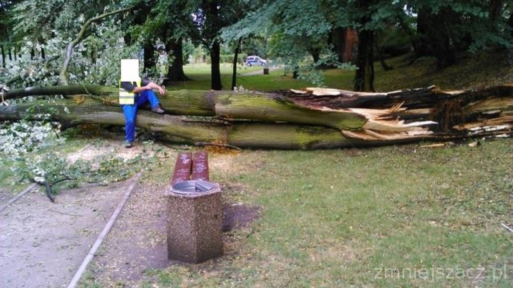 Kronika Straży Miejskiej w Grodkowie 01.07-30.09.2015