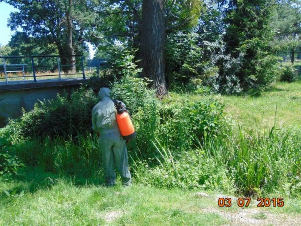 Kronika Straży Miejskiej w Grodkowie 01.07-30.09.2015