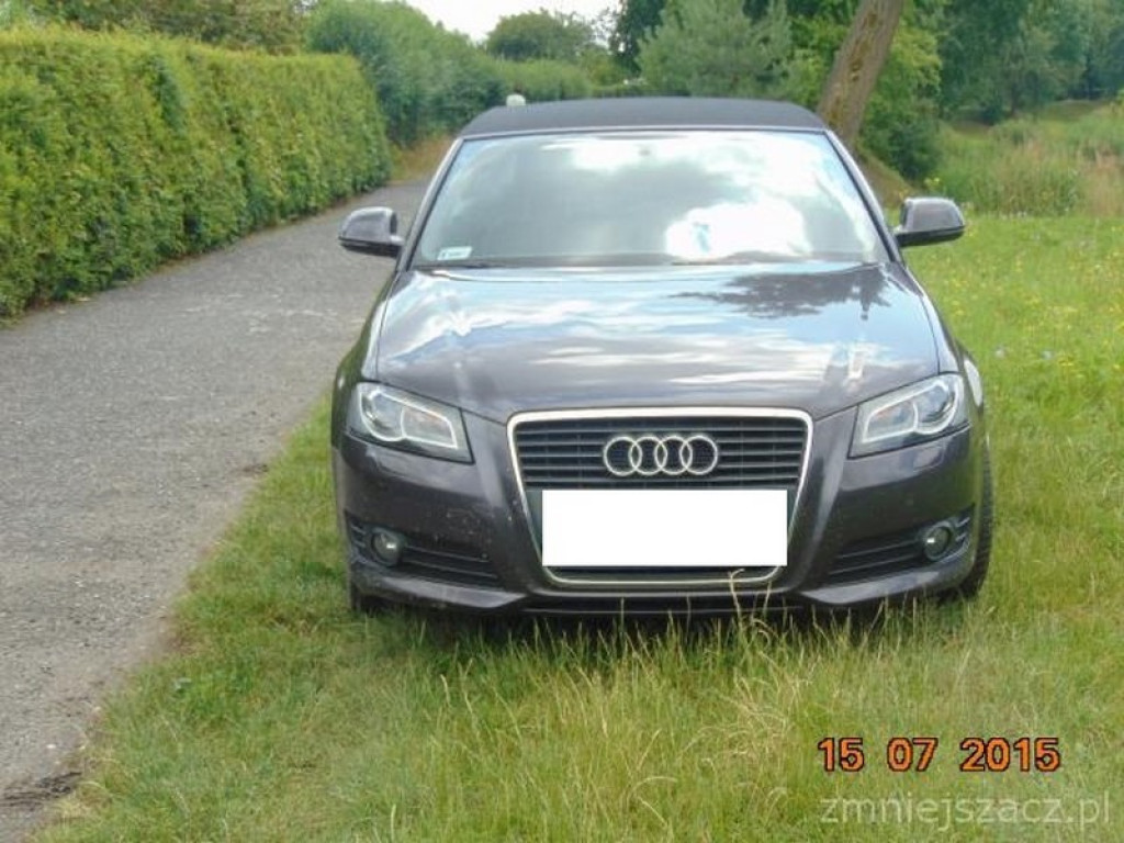 Kronika Straży Miejskiej w Grodkowie 01.07-30.09.2015