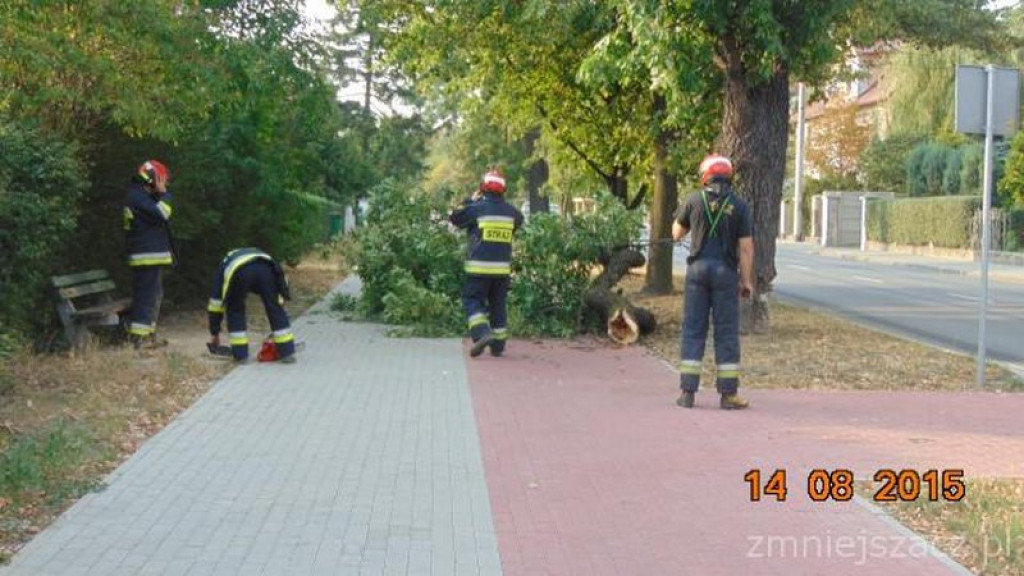 Kronika Straży Miejskiej w Grodkowie 01.07-30.09.2015