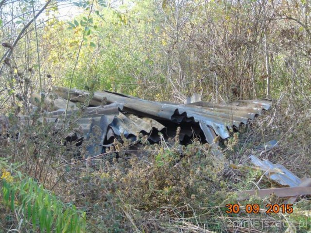 Kronika Straży Miejskiej w Grodkowie 01.07-30.09.2015