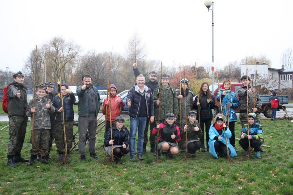 Plac Drzewny wzbogacony o 50 nowych lip