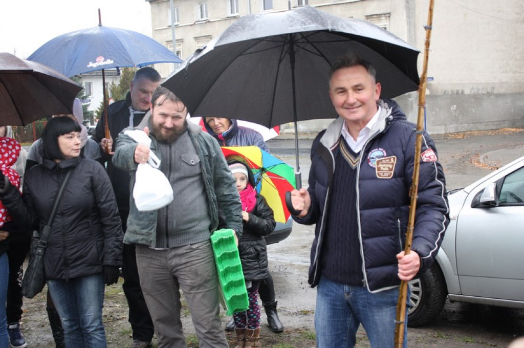 Plac Drzewny wzbogacony o 50 nowych lip