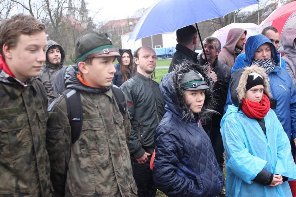 Plac Drzewny wzbogacony o 50 nowych lip